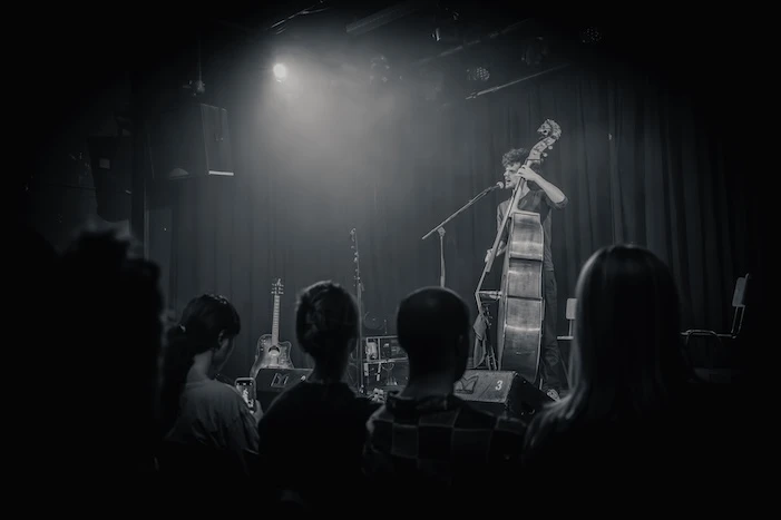 Peter Willems performing at Mengelmoes — photo 4