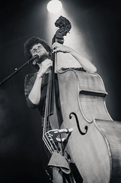 Peter Willems performing at Mengelmoes — photo 9